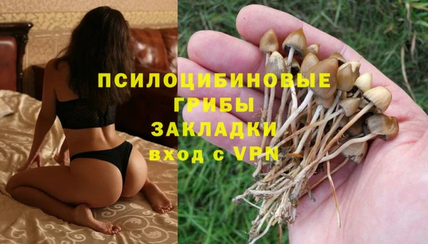 бошки Арсеньев