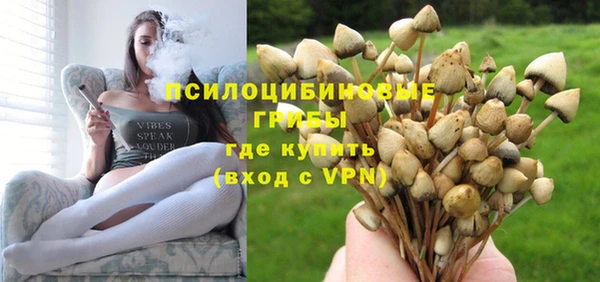 соль ск Аркадак